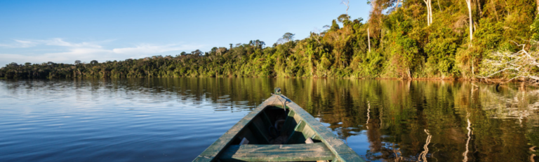 Amazon rainforest tour