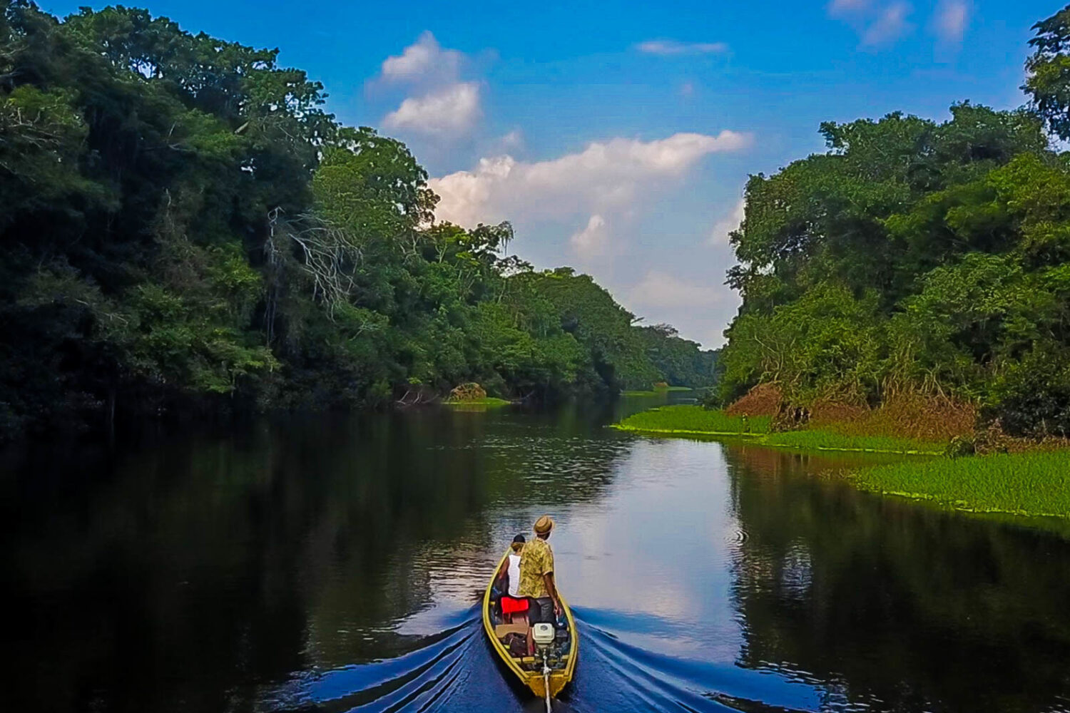 Amazon River Tour by Canoe